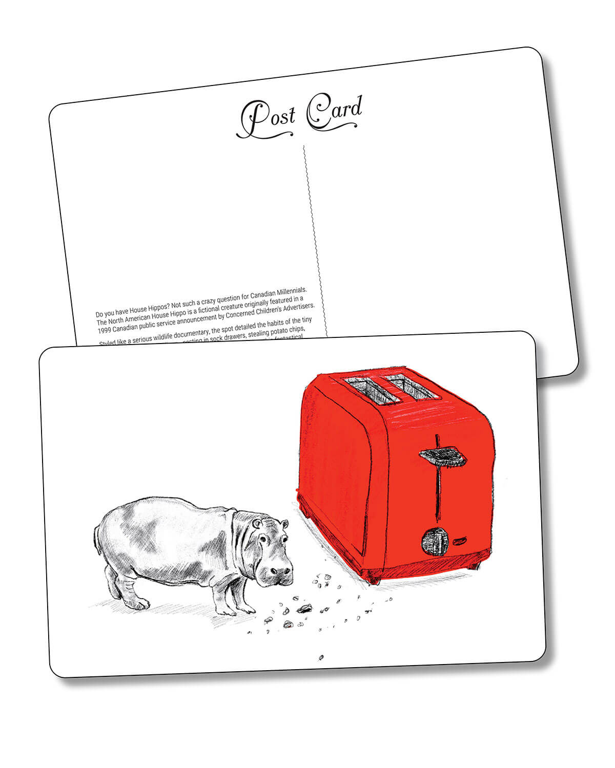 Postcard - The House Hippo