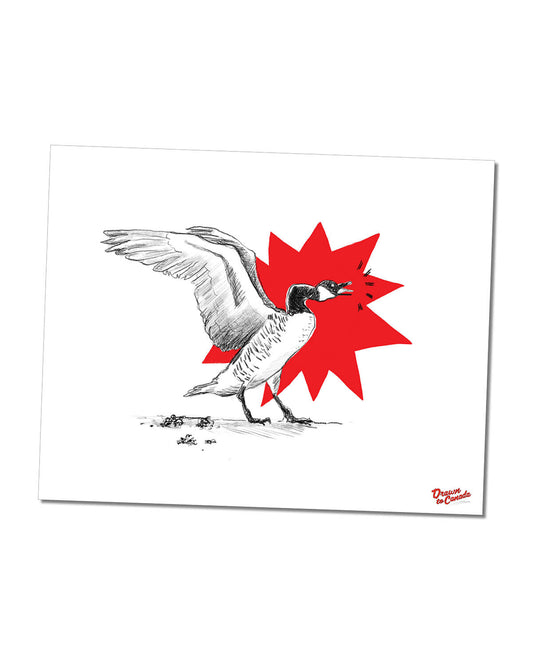 Art Print - Canada Goose