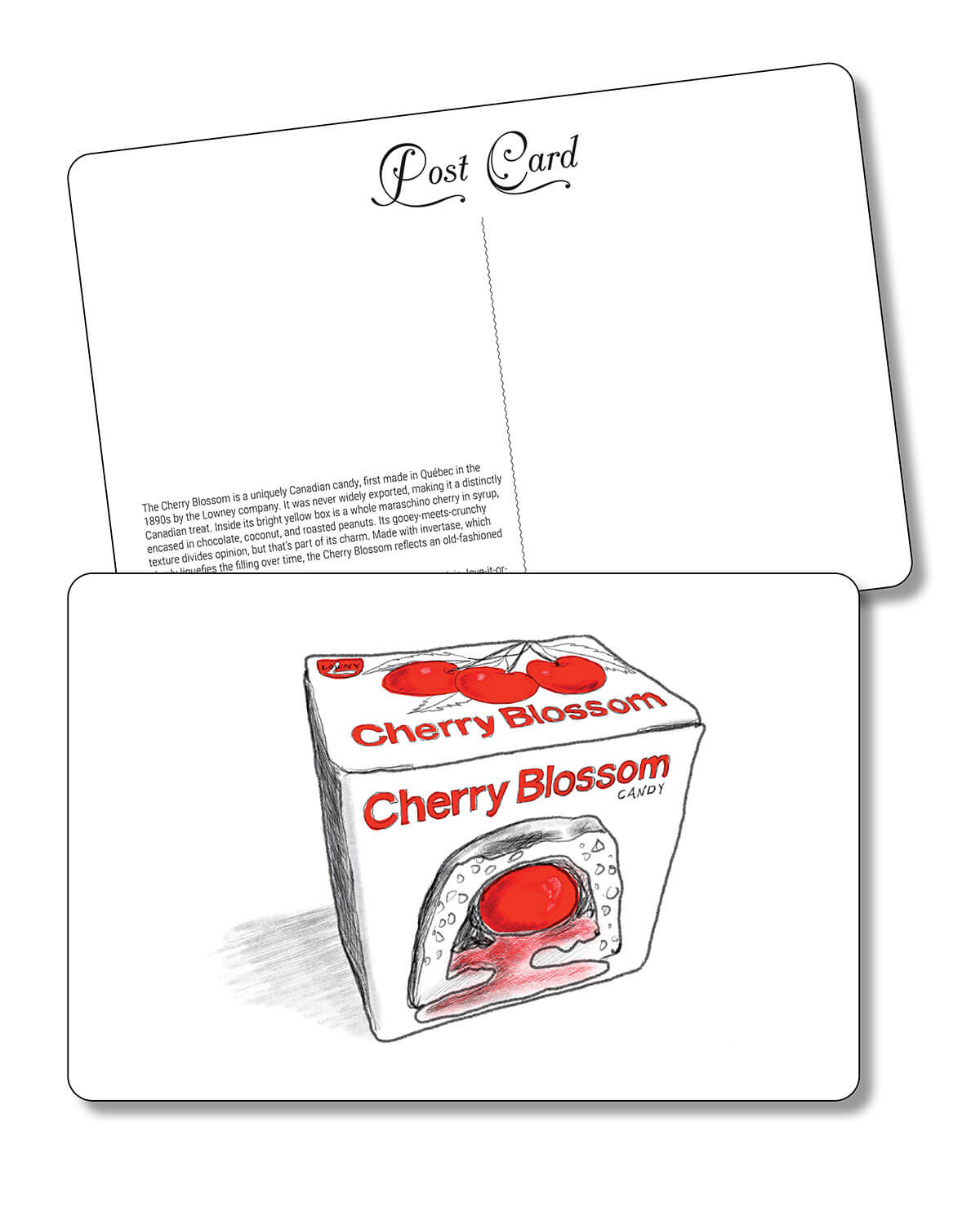 Postcard - Cherry Blossom